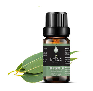 Eucalyptus (Eucalyptus globulus) - MYKRIAA