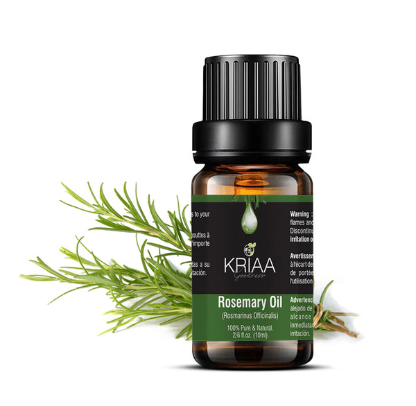 Rosemary  (Rosmarinus Officinalis) - MYKRIAA